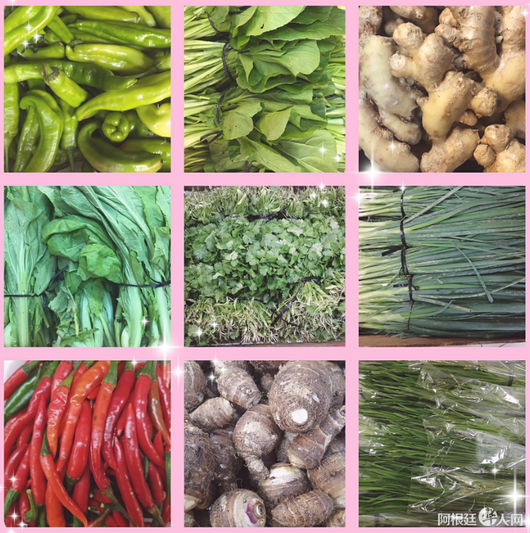 微信图片_20200410113537