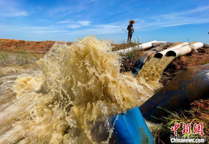 江西省九江市都昌县周溪镇枭阳10号附坝，抽水泵在鄱阳湖取水，经过三级提灌，为坝内五千亩稻田灌溉保苗。　傅建斌 摄
