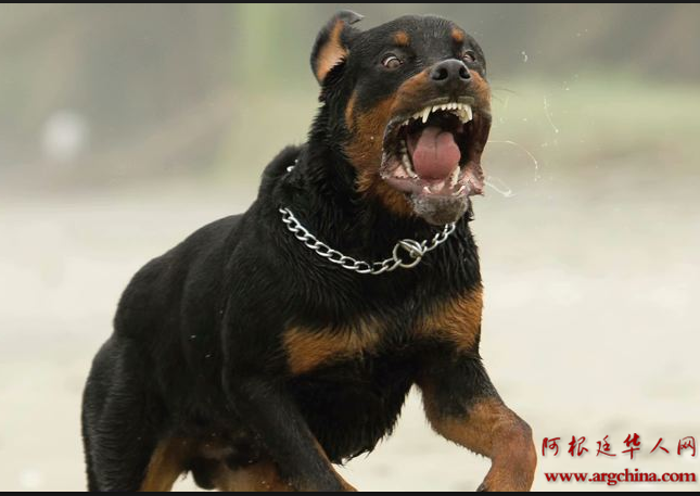 QQ截图20141128114920.png