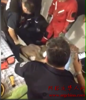 QQ截图20141215122343.png