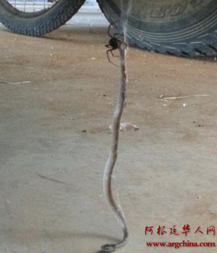 QQ截图20150303110045.png