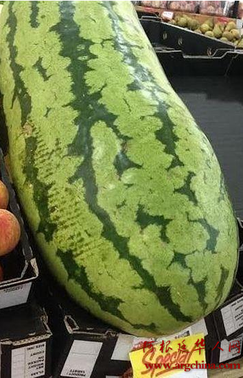 QQ截图20150302141243.png