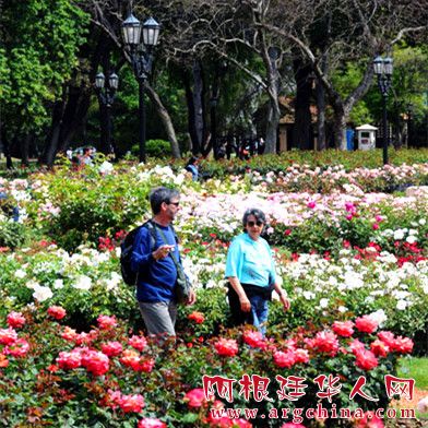 09，荡漾.jpg