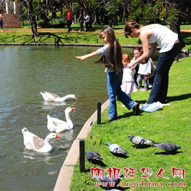 10,乐趣.jpg