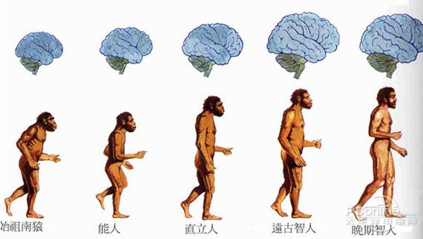 互联网 互联网