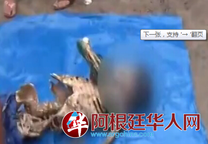 QQ截图20150601122103.png