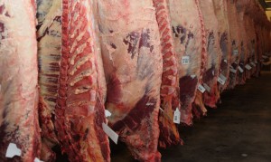 Carne-Exportaci&oacute;n-300x179.jpg