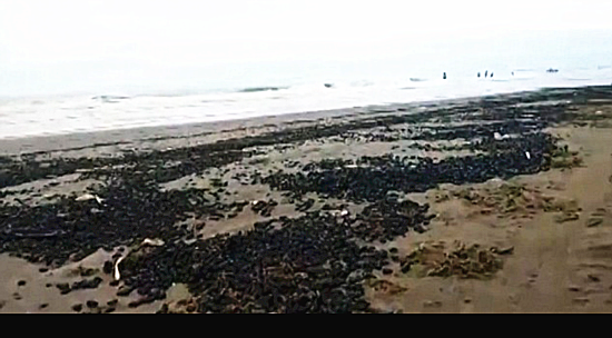 15959623136884841785.png