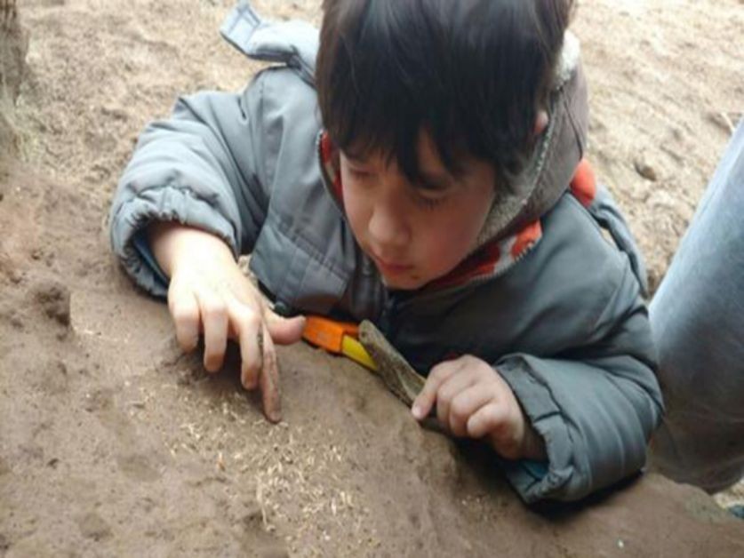 91.jpg