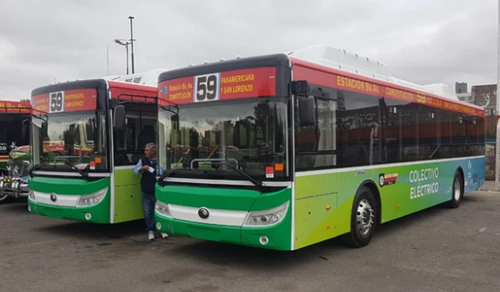 COLECTIVOS1.jpg