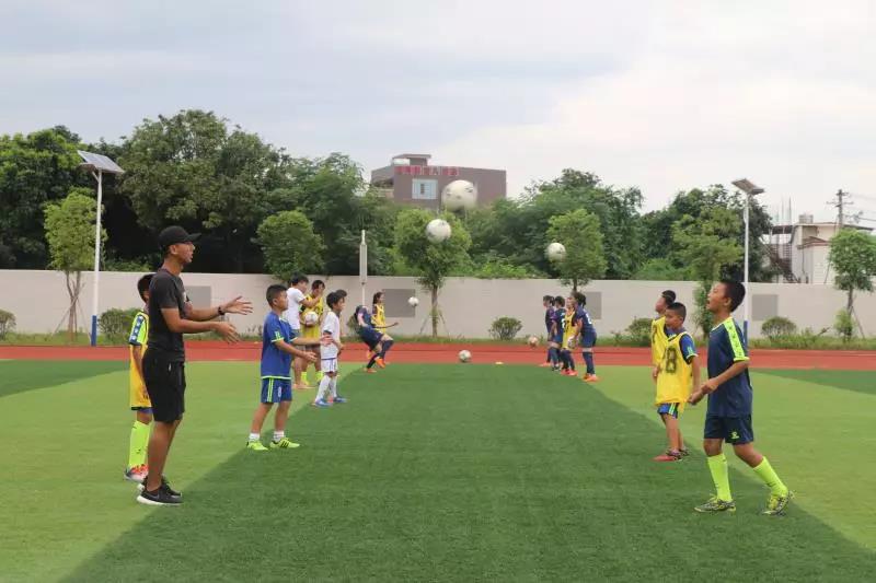 微信图片_20190711094759.jpg