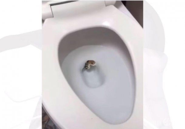 0037782234