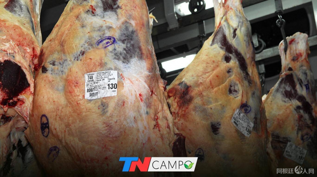 exportacioncarne
