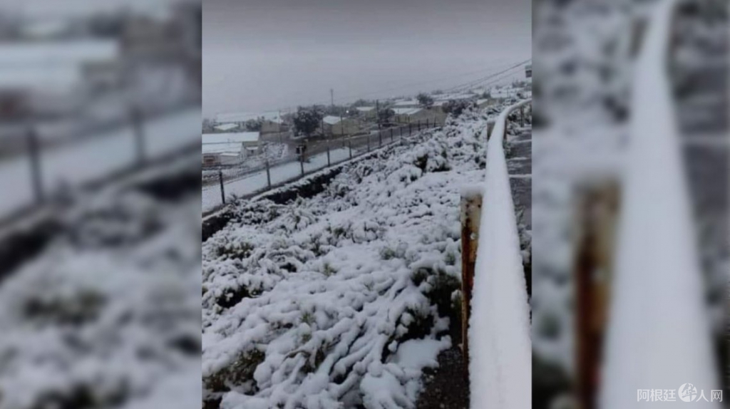 nieve-puna-jujuena