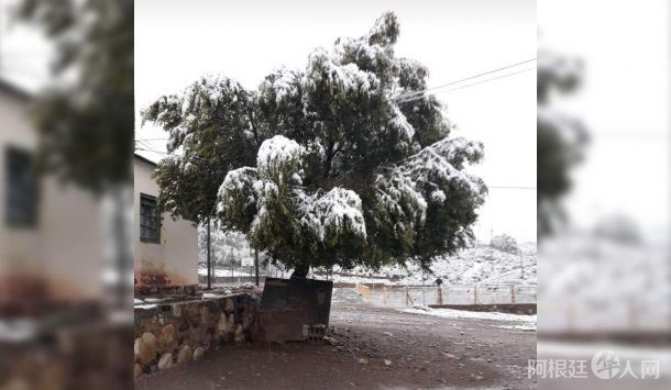 nieve-puna-jujena