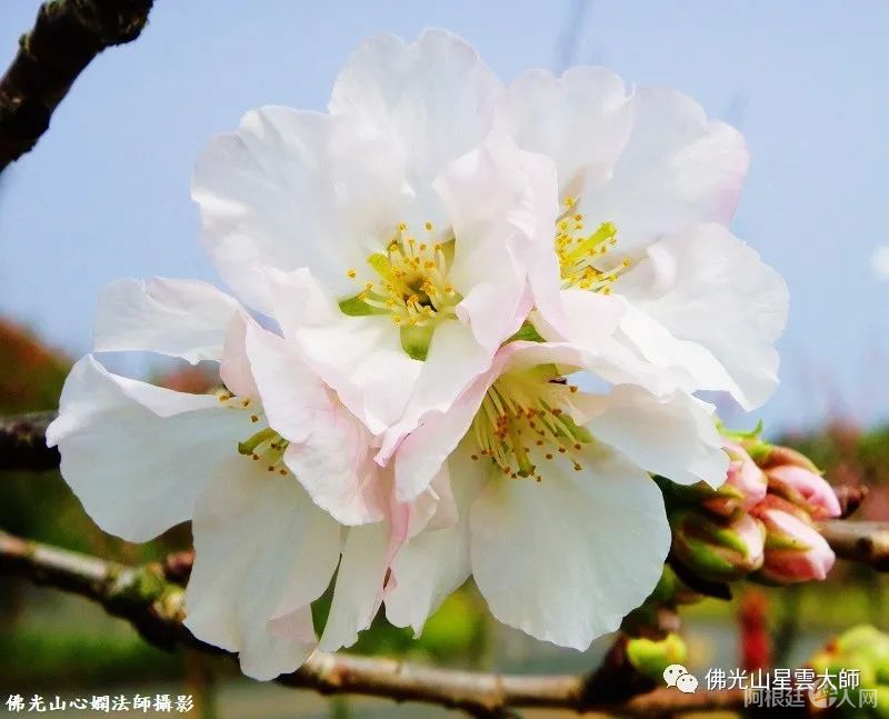 微信图片_20220307125259