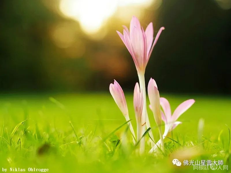 微信图片_20220420115654