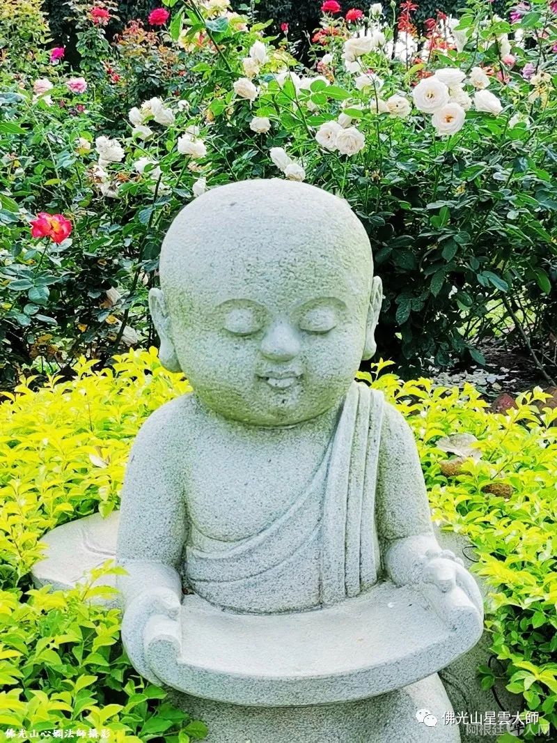 微信图片_20220503145451