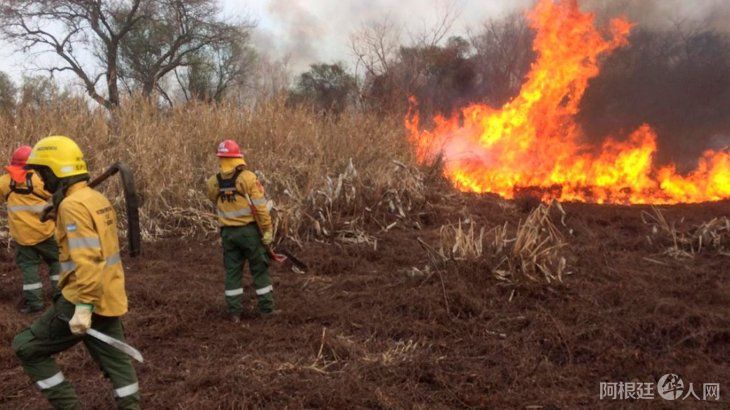 incendio-forestal