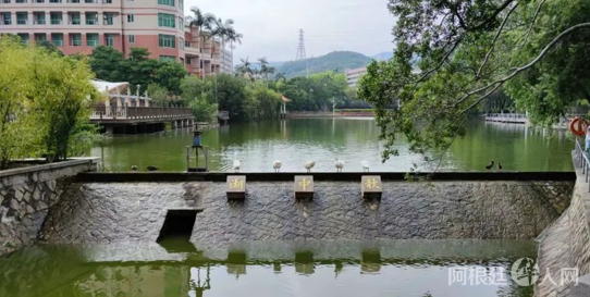 图片_20230321223216