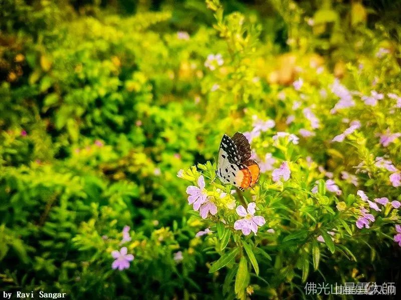 图片_20230502180548