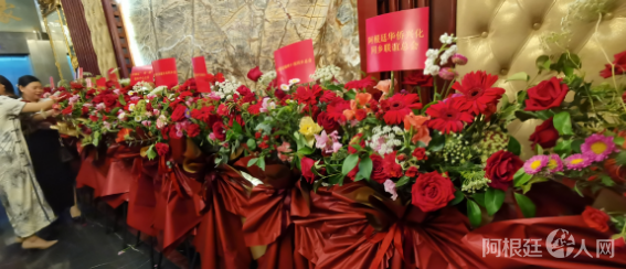 图片_20231117204122