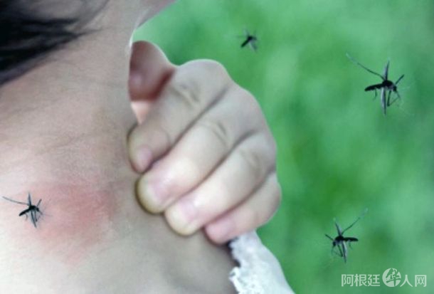dengue-telamjpg