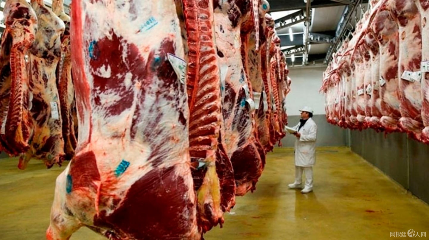 las-exportaciones-de-carne-bovina-de-junio-alcanzaron-un-volumen-cercano-a-las-615-mil-toneladas-por-un-valor-de-us3205-millones-SWKPNMBF2ZDCXPZBXLGGGH4JBM